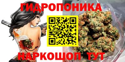 марки nbome Гусь-Хрустальный